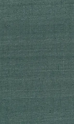 [25728-20] Zinnia-20