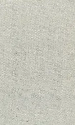 [25728-21] Zinnia-21