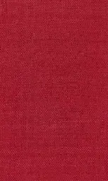 [25728-25] Zinnia-25