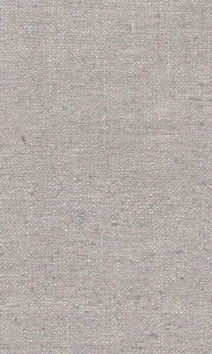 [25728-26] Zinnia-26