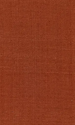 Zinnia-27