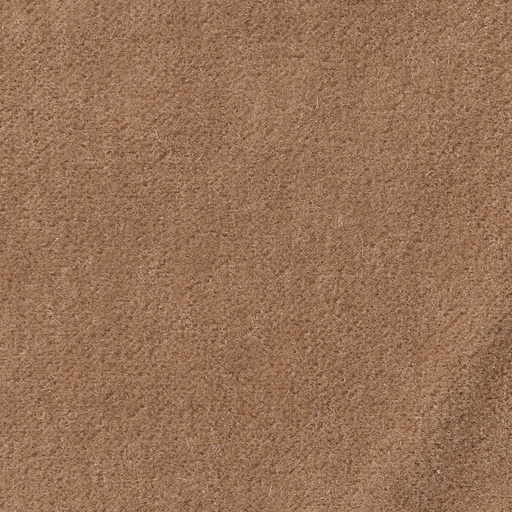 [35403-02] Duke-02