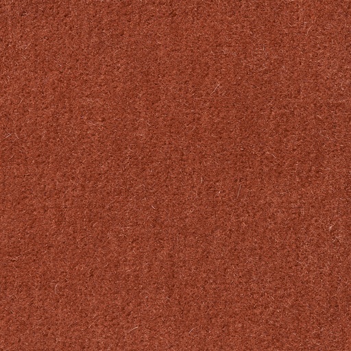Duke-12