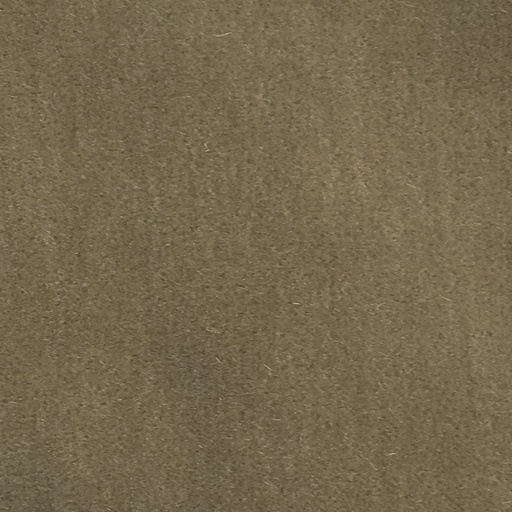 [35403-13] Duke-13