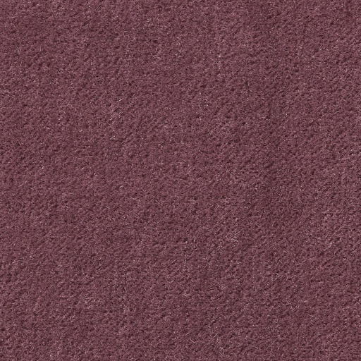 [35403-14] Duke-14