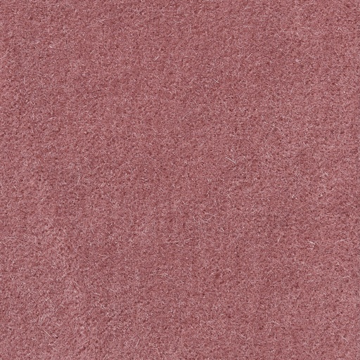 [35403-20] Duke-20