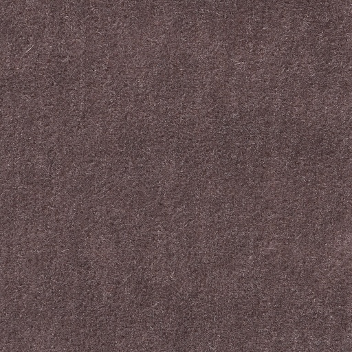 Duke-21