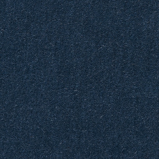 Duke-33