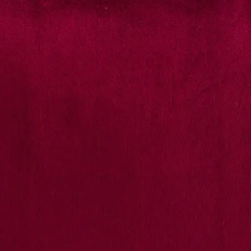 [38297-19] Canaan-19